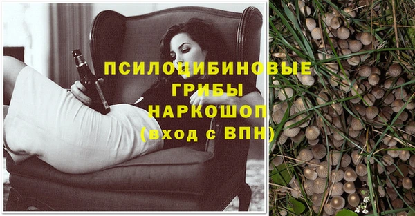 соль курить ск Алзамай