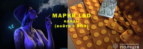 ПСИЛОЦИБИНОВЫЕ ГРИБЫ Алексин