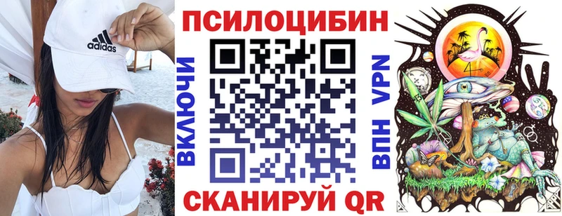 Псилоцибиновые грибы Cubensis Большой Камень