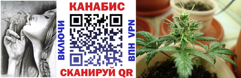 Бошки Шишки ГИДРОПОН Большой Камень